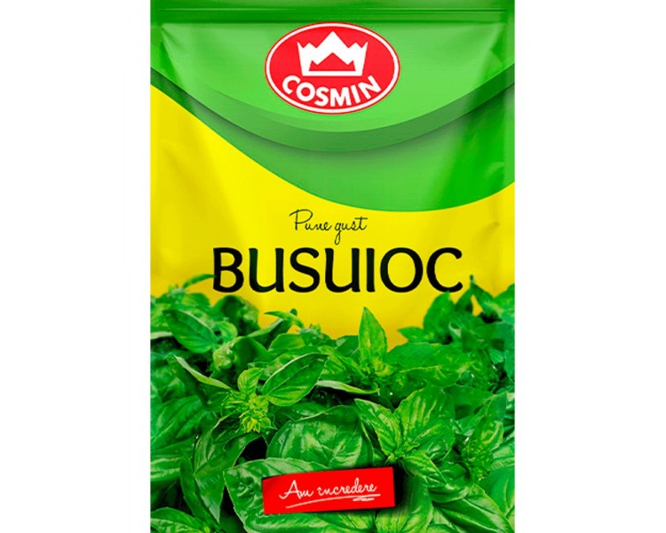 Busuioc Cosmin