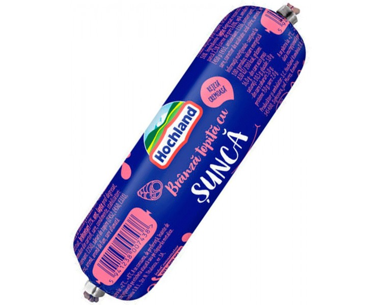 HOCHLAND QUESO FUNDIDO RULO JAMON 100G/10