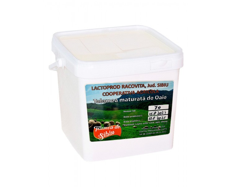 JOSI TELEMEA SIBIU OAIE 7KG