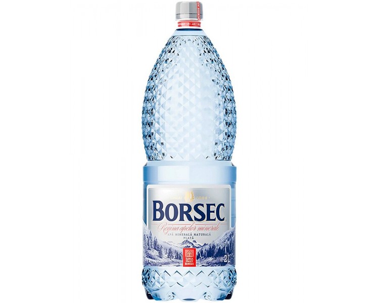 BORSEC APA PLATA 2L/6