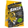 BANZAI SEMINTE NEGRE SARATE 130G/10