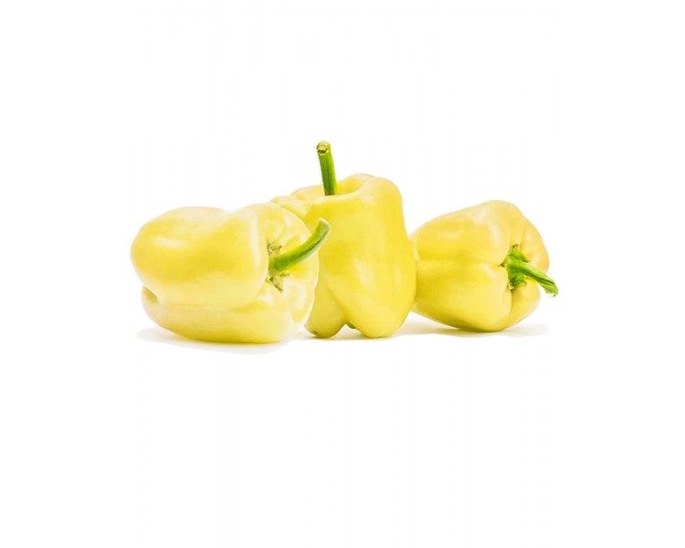 ETNIC PIMIENTO RUMANIA
