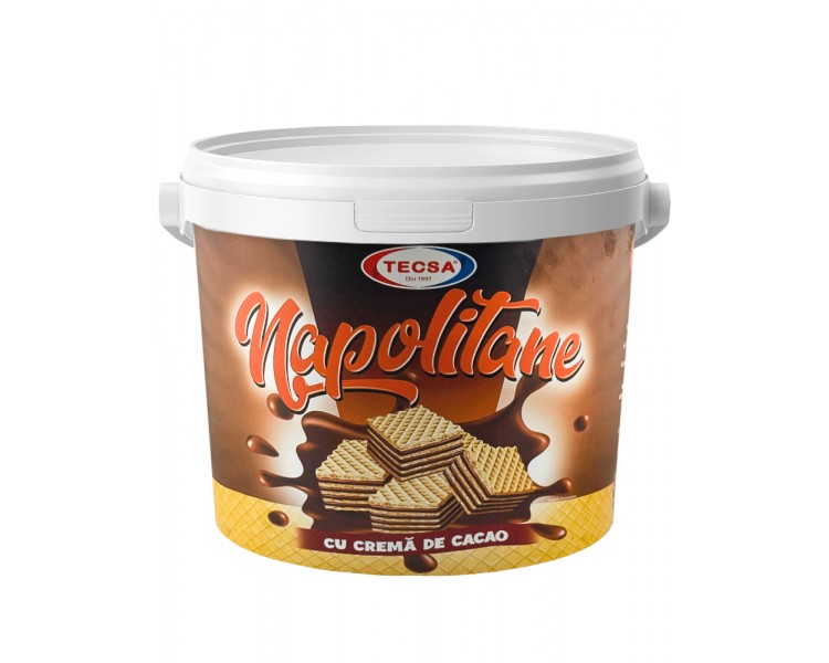 TECSA BARQUILLOS CACAO 900G