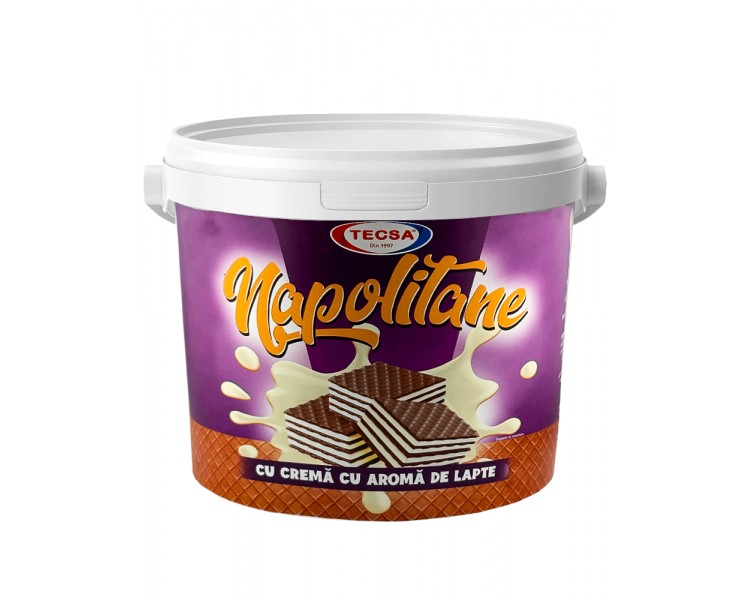 TECSA BARQUILLOS LECHE 900G