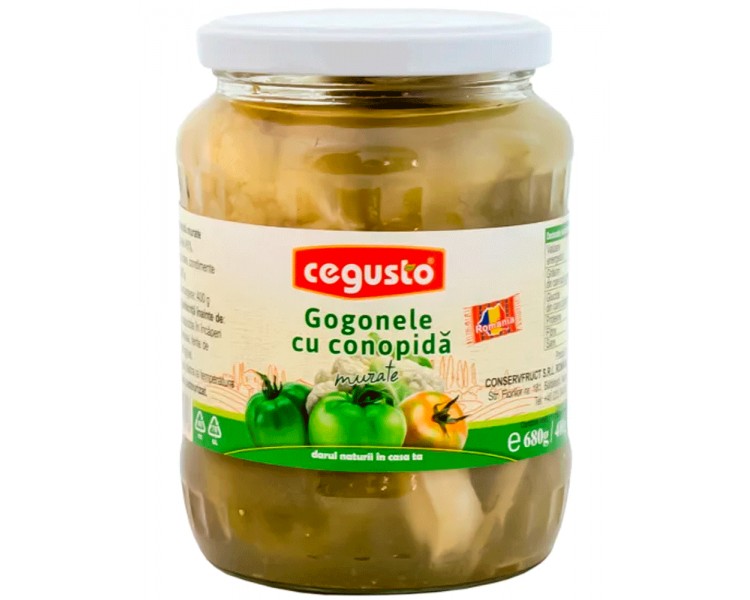 CONSERVFRUCT GOGONELE CONOPIDA 680G/6