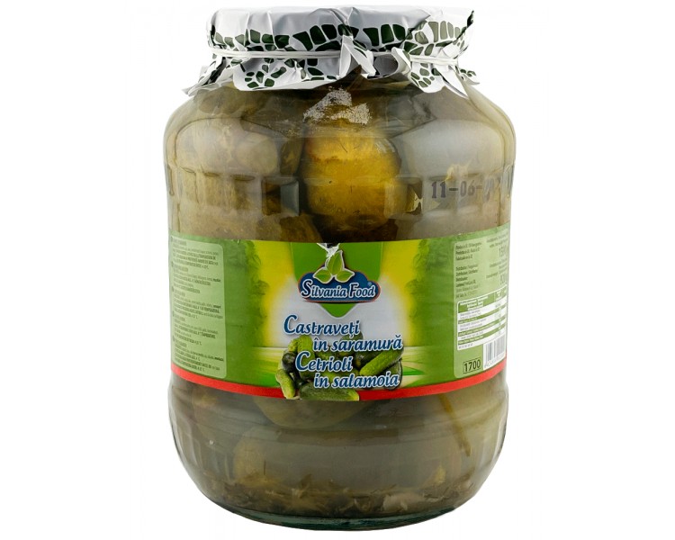 SILVANIA CASTRAVETI SARAMURA 1700G/6