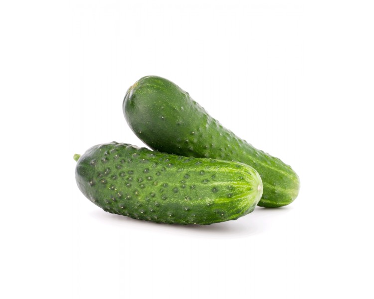 ETNIC CASTRAVETI CORNISON ROMANIA