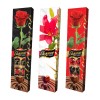 ADEL BEST WISHES BOMBONES CHOCOLATE 175G/18