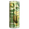 HELL ENERGIZANT CACTUS TWIST 0.25L/24