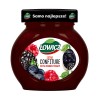 LOWICZ GEM FRUCTE PADURE 280G/8